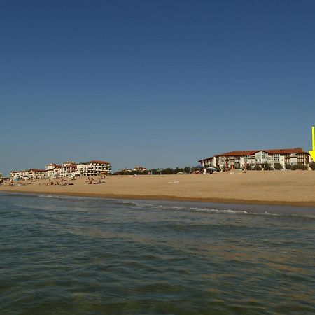La Dune D'Or - Vue Mer, Studio Face A La Plage Avec Terrasse Soorts-Hossegor Dış mekan fotoğraf